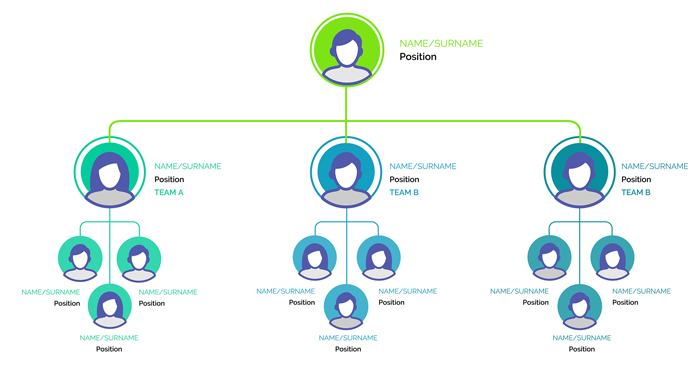 Organizational Chart